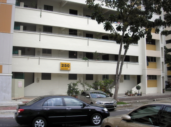 Blk 250 Hougang Avenue 3 (Hougang), HDB 3 Rooms #242332